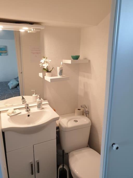 Appartement Duplexe De 1 A 4 Chambres Privees Dans Maison Le Teil Extérieur photo